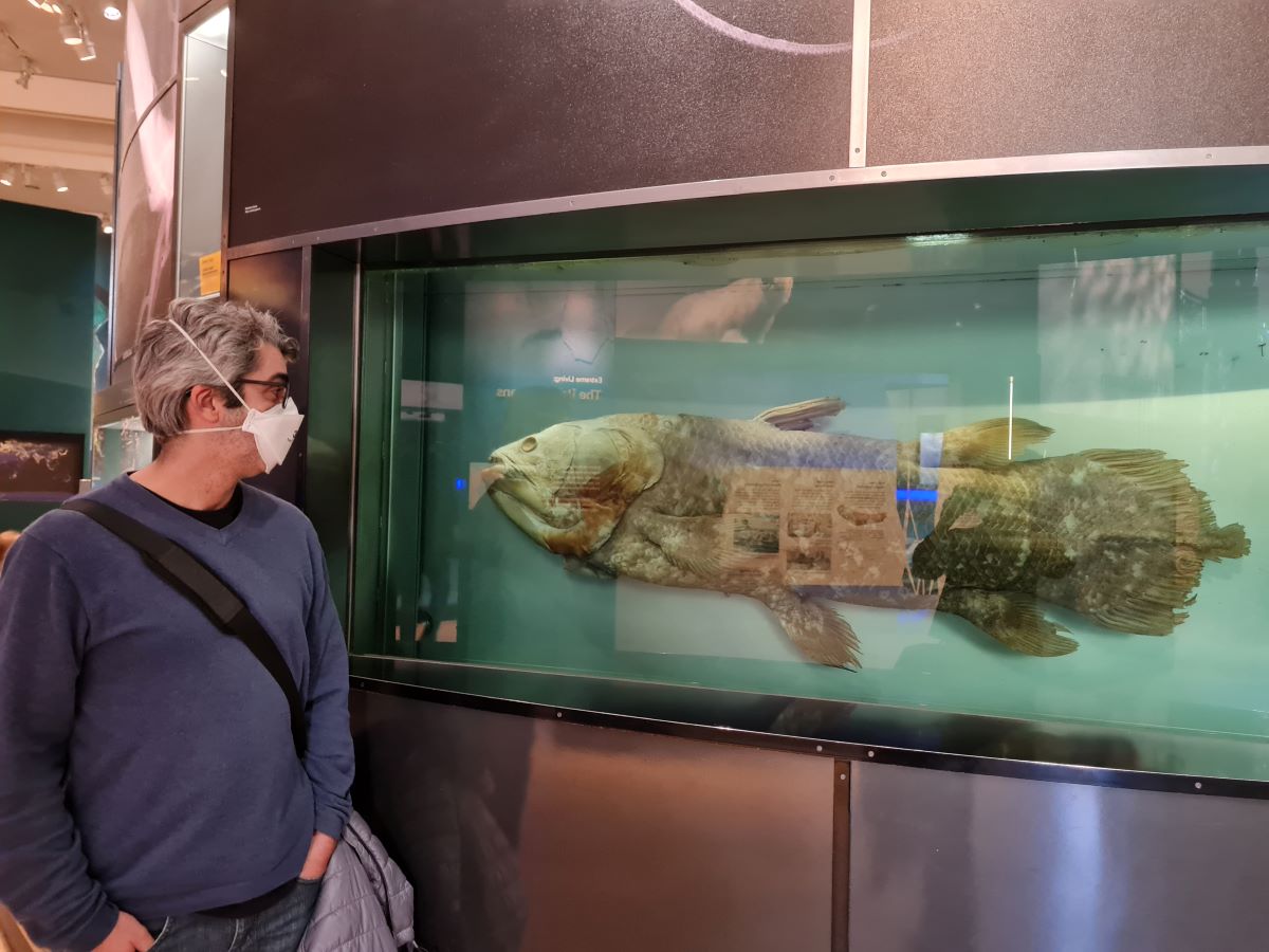 Peixe