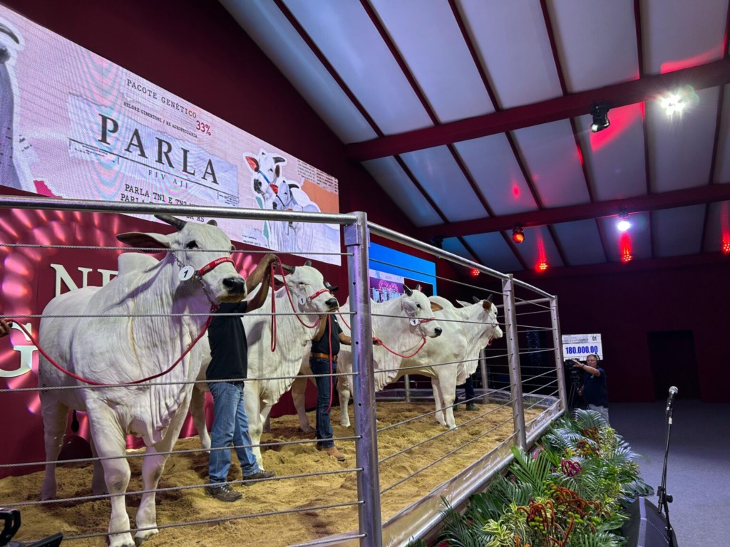Créditos Lance Rural/Divulgação
