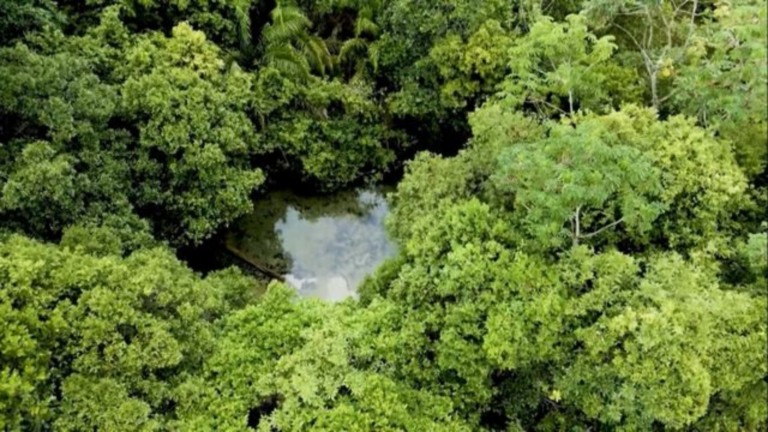 Imagem aérea da nascente com fervedouro na fazenda Água Viva, da Agro Penido. Foto: Reprodução/Planeta Campo