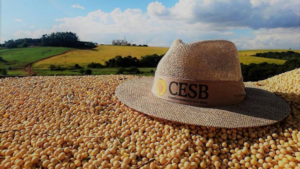 Foto: Canal Rural/Reprodução