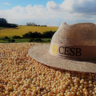 Foto: Canal Rural/Reprodução