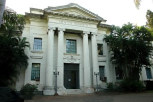 Instituto Agronômico de Campinas (IAC)