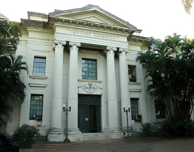 Instituto Agronômico de Campinas (IAC)