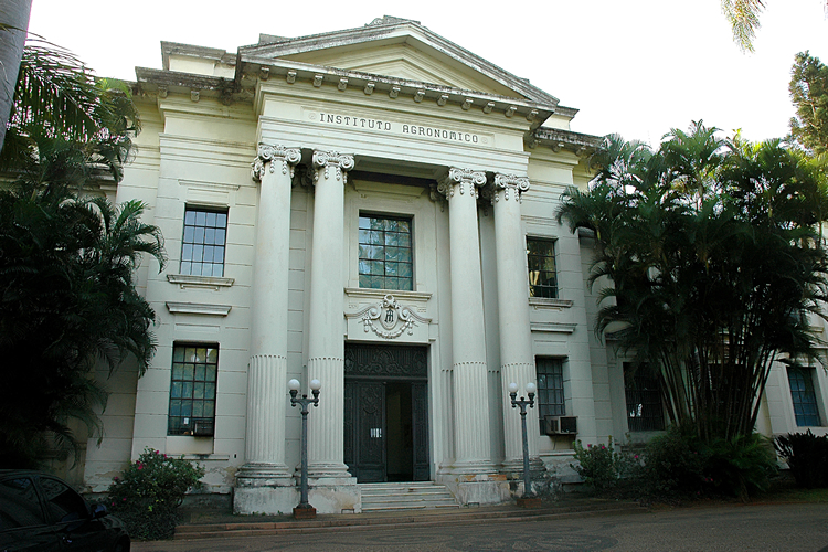 Instituto Agronômico de Campinas (IAC) Instituto Agronômico de Campinas (IAC)