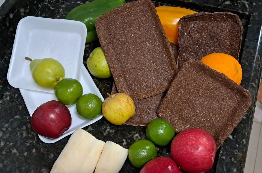 Embalagens biodegradáveis