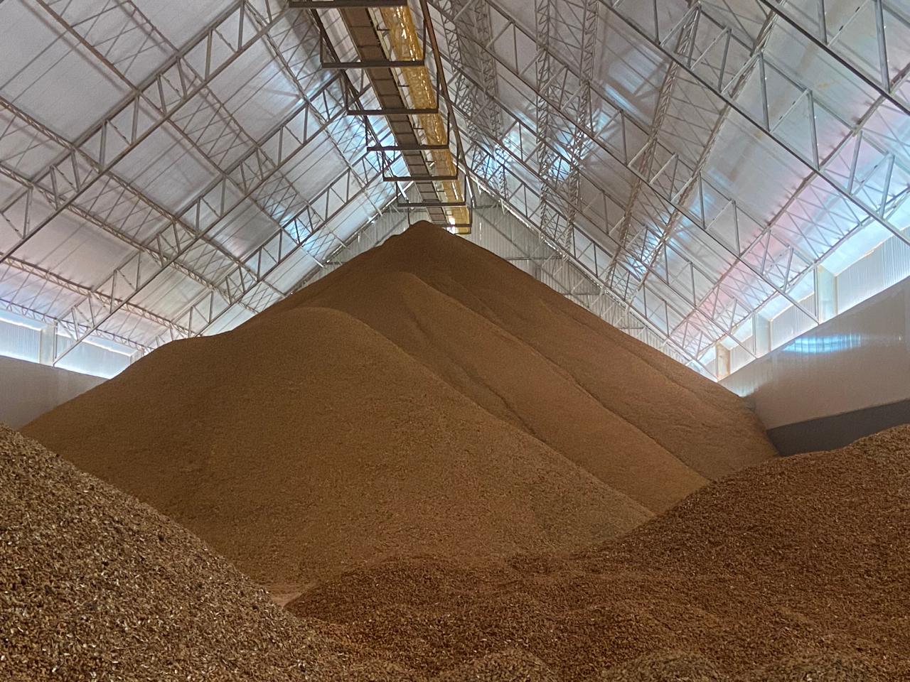 interior de uma fábrica com uma grande quantidade de amendoim.