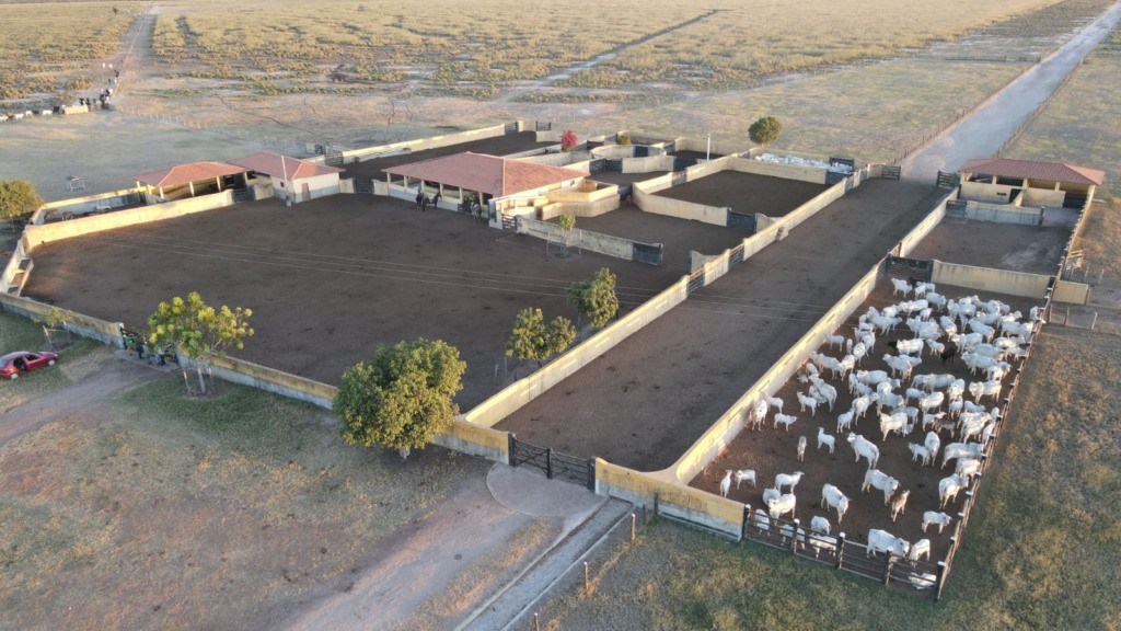 encontro técnico de pecuaristas, Santa Rita de Cássia, oeste da Bahia