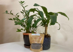Fertilizante sustentável; vasos