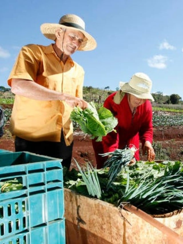 seguro rural