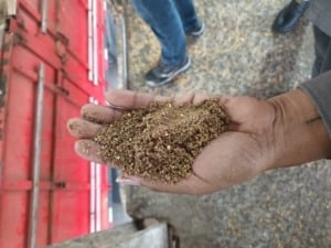 farelo de soja adulterado Porto de Paranaguá