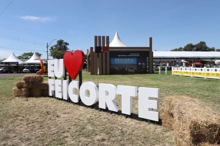 feicorte 2025 feicorte 2025