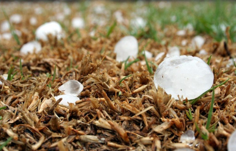O granizo pode atingir o tamanho de uma bola de tênis — e causar prejuízos milionários no campo