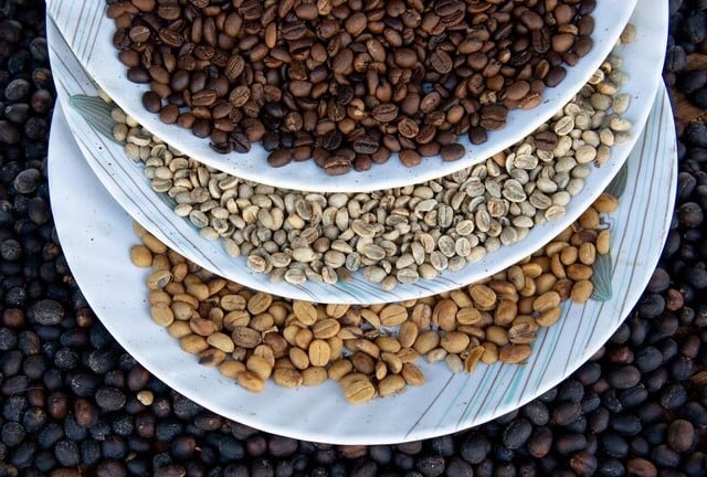 grãos de café