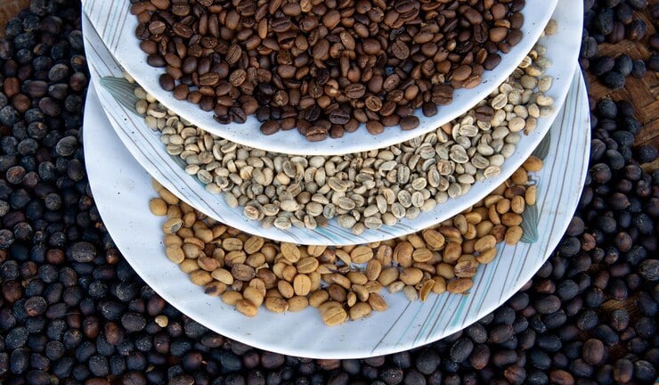 grãos de café