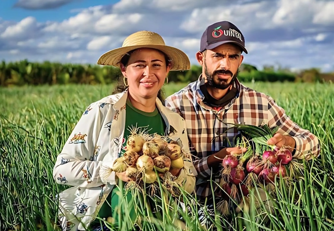 Do quintal baiano às feiras: irmãos mostram a força da produção agroecológica