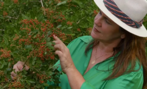 Produtora rural mostrando seu cultivo de especiarias