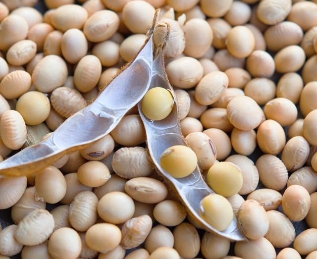 Safras & Mercado