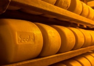 queijos Scala
