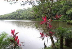 Imagens de um lago