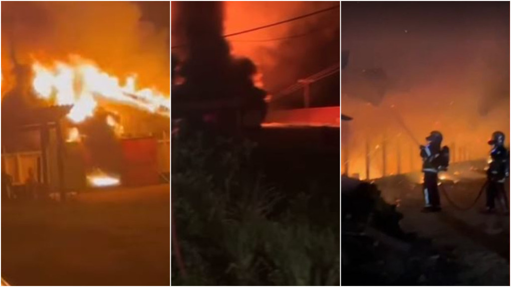 incêndio aviário Cascavel (PR)