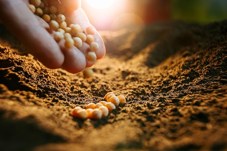 Semana decisiva para o agro e para a soja com possíveis tarifas dos EUA; confira a análise completa
