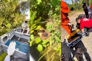 abelhas durante pescaria em Luís Eduardo Magalhães; resgate do corpo de bombeiros
