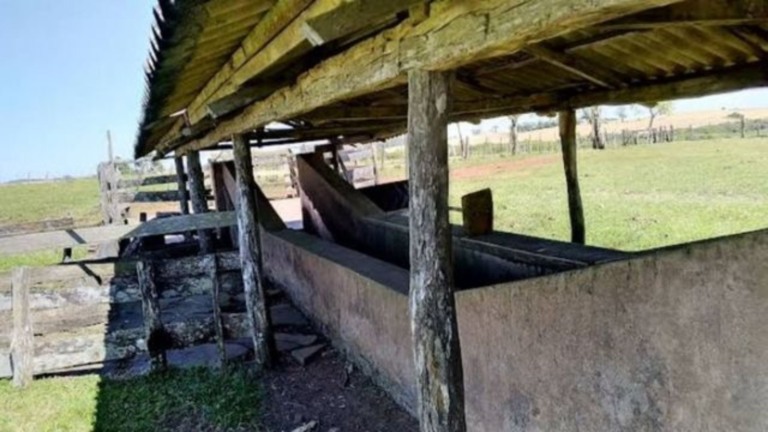 Banho de imersão: vale a pena usar contra o carrapato bovino? Banho de imersão: vale a pena usar contra o carrapato bovino?