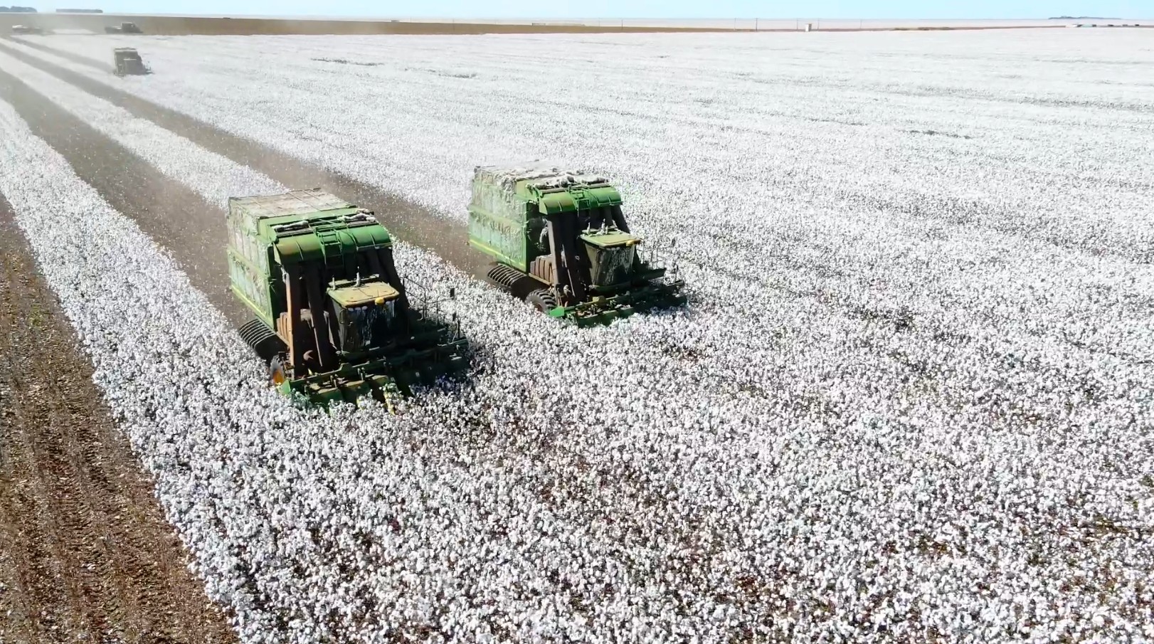 Agro cresce 10% em um ano e mantém papel central na economia brasileira