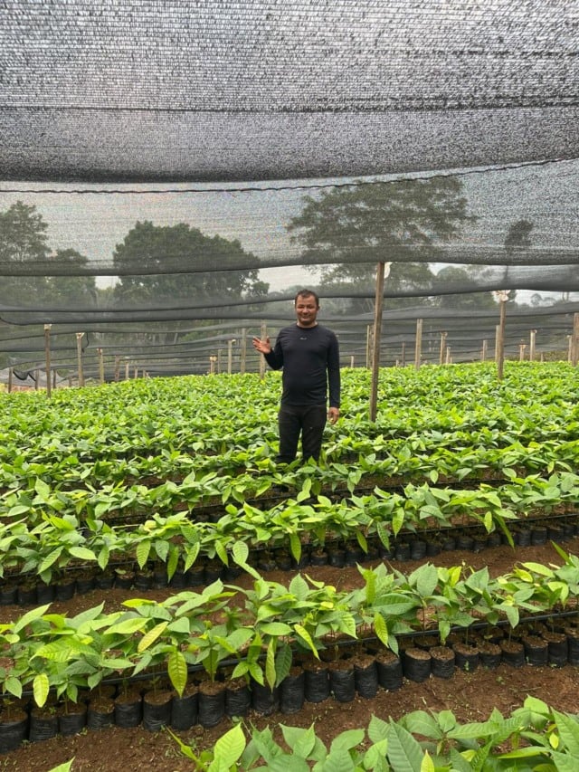 Um homem numa plantação com mudas