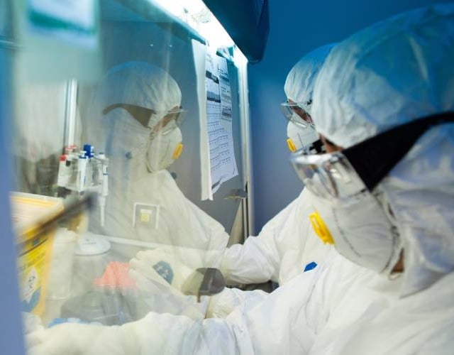 vacina gripe aviária Instituto Butantã
