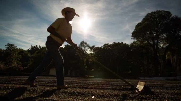 Agro baiano bate recorde de empregos, dados faeb