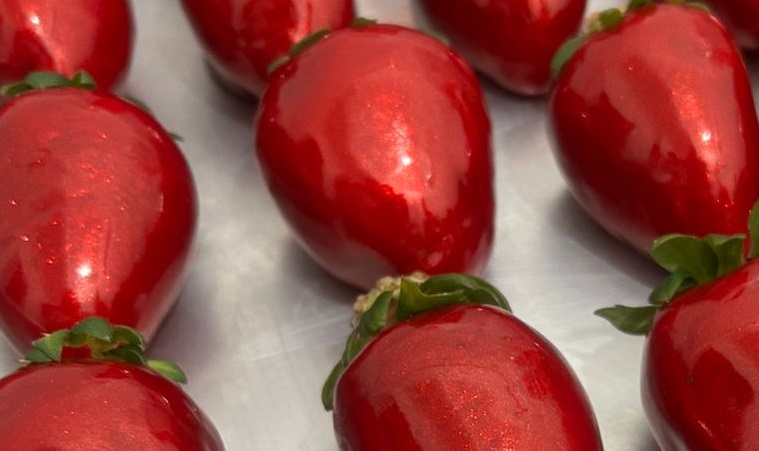 'Morango do amor' viraliza nas redes e impulsiona lucro de confeiteiros e produtores 'Morango do amor' viraliza nas redes e impulsiona lucro de confeiteiros e produtores