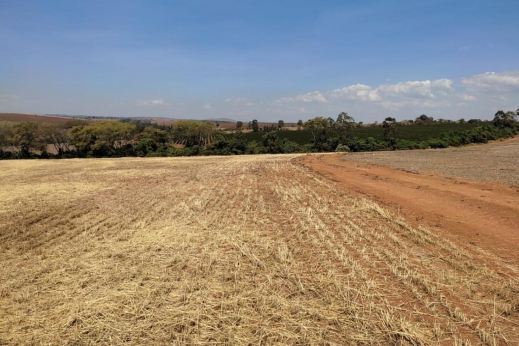 Foto: Governo de MG