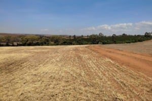 Foto: Governo de MG