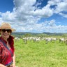 Bem-estar animal melhora produtividade e fortalece relações no campo com Paula Prado