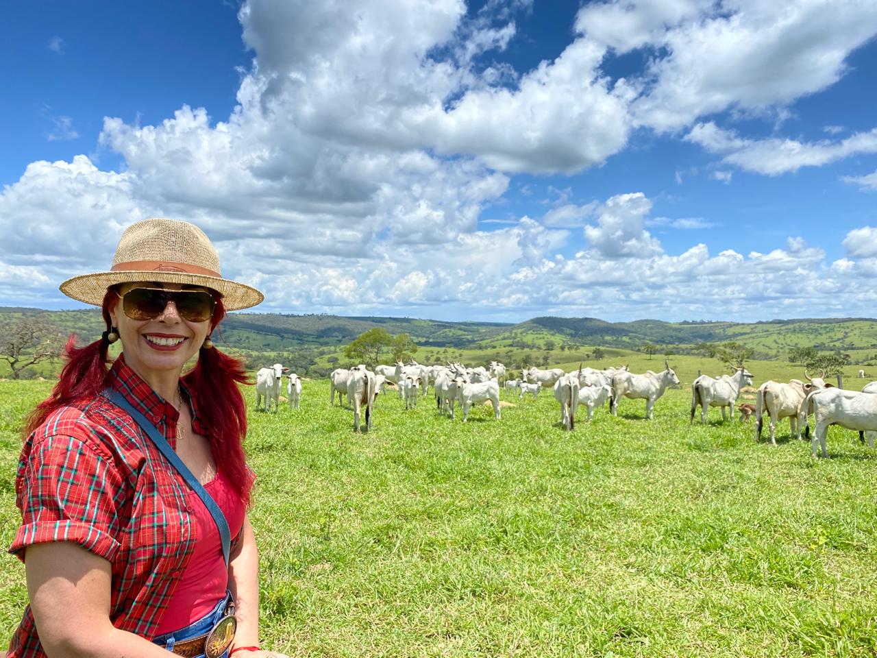 Bem-estar animal melhora produtividade e fortalece relações no campo