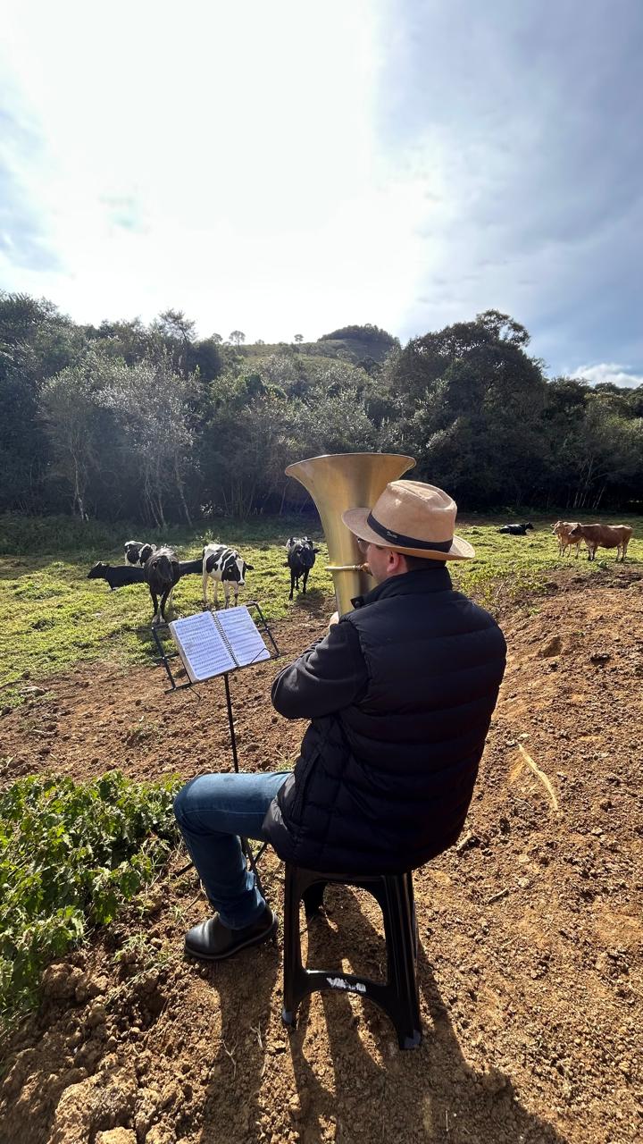 Música para vacas? Técnica melhora bem-estar e produção no campo
