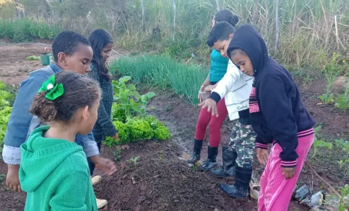Horta escolar fortalece educação empreendedora em escola quilombola em MG