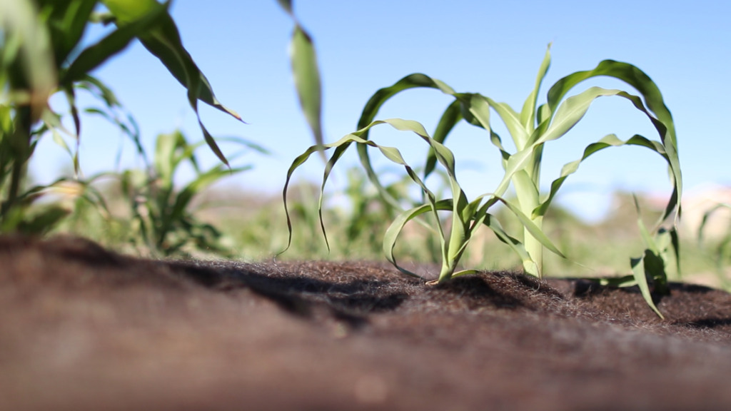 Foto: Matter of Trust Chile 
