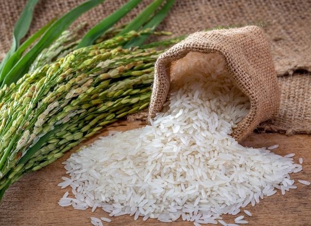 arroz brasileiro eua