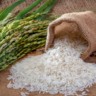 arroz brasileiro eua