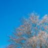 Foto: Freepik Foto: Freepik