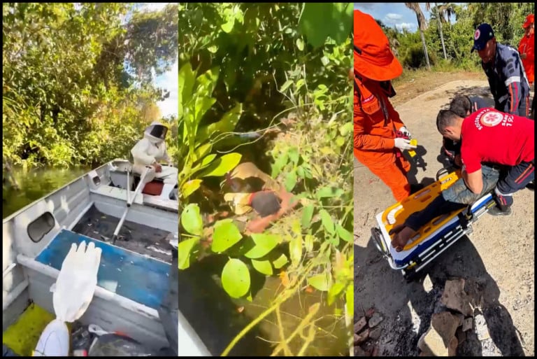 jovem atacado por abelhas durante pescaria em Luís Eduardo Magalhães; resgate do corpo de bombeiros jovem atacado por abelhas durante pescaria em Luís Eduardo Magalhães; resgate do corpo de bombeiros