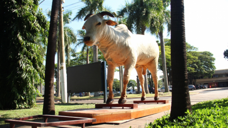Karvadi - Touro Nelore Embalsamado no meuseu do zebu em uberaba