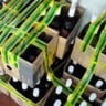bebidas apreendidas Mapa
