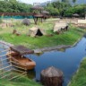 bioparque Rio