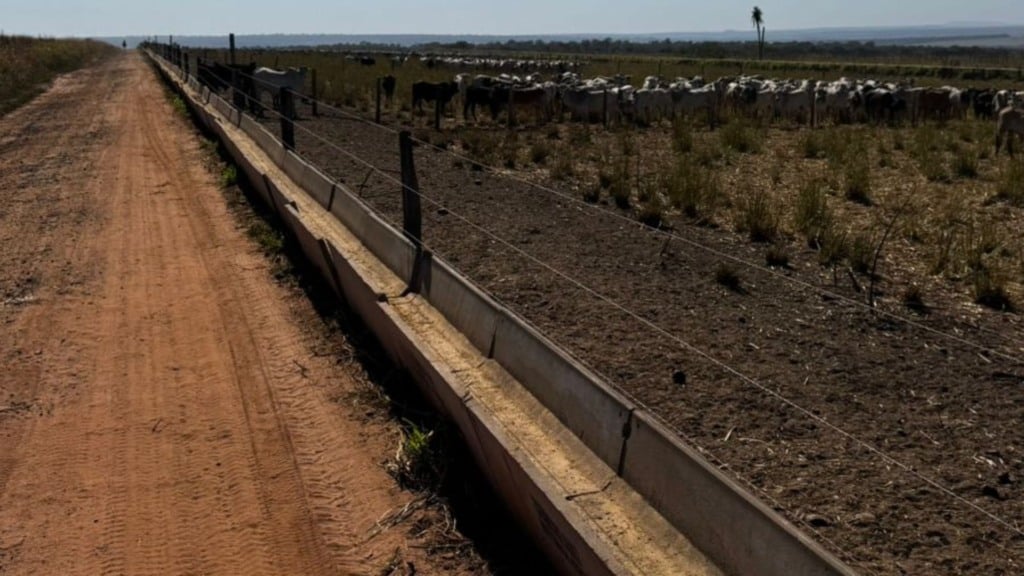Boitel da Fazenda Sonho Real em Terenos (MS). Foto: Divulgação/Friboi