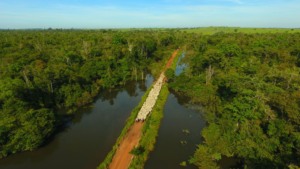 Pecuária na Amazônia tem tecnologia para produzir com responsabilidade