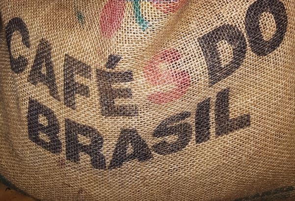 Agro brasileiro deveria pressionar Congresso dos EUA contra tarifaço, diz professor da FGV