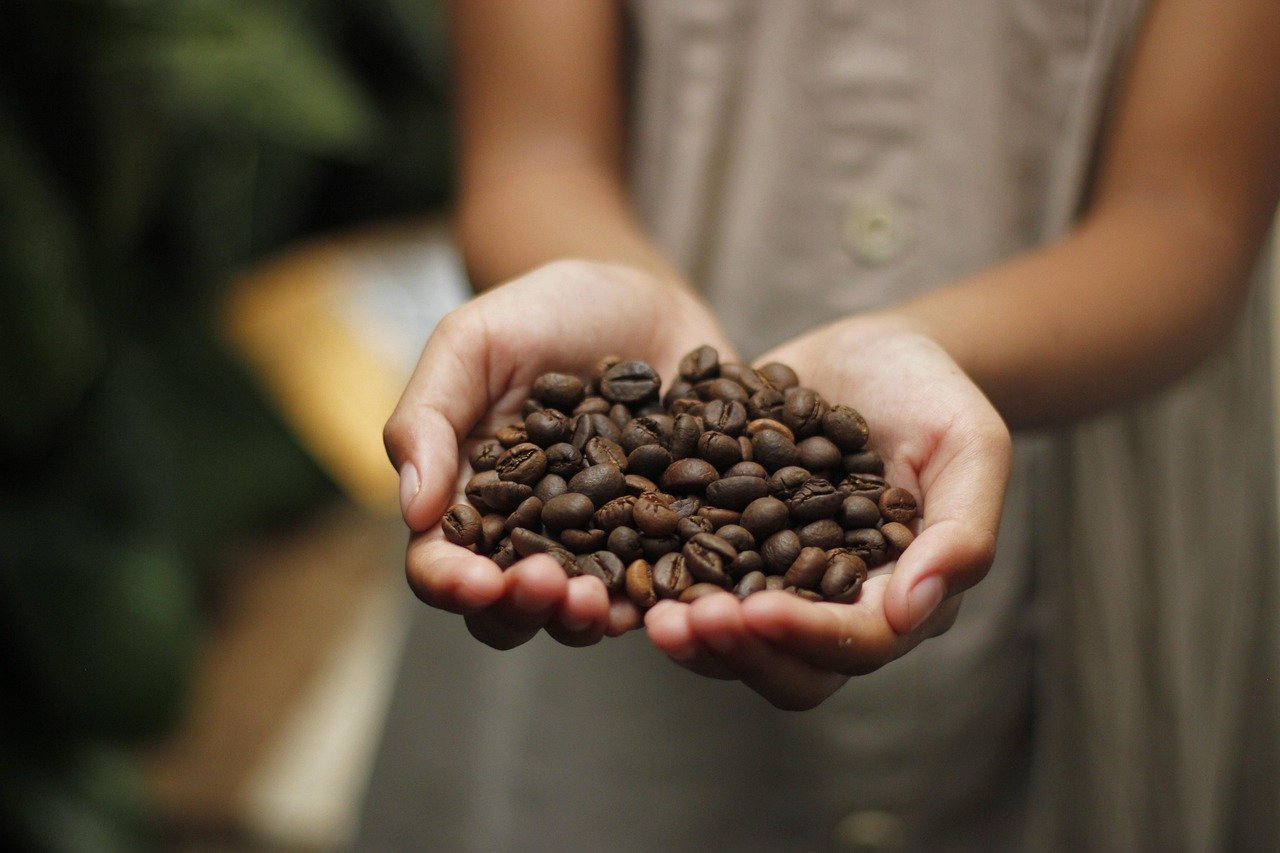 Café brasileiro: mesmo com a sobretaxa de Trump, rentabilidade é possível com estratégia